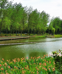 û˵Ĺ԰ݻ죬Ƭ˽ʺϷ