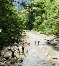 重庆最佳耍水避暑地,随处可见小河沟抓鱼捉螃蟹,大人都觉得好耍