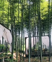 2小时到的民宿,能耍泡泡机,撸小动物,逛古镇,活动太丰富了吧