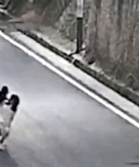 14岁女生酒后蛇形骑车被亲哥举报