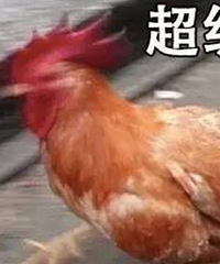 亲男浏览H网还跟朋友讨论某些价格,居然说是个男的都想这么做