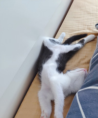 Ҽҵèоֻ٤è˯ҪNƣͶȳ