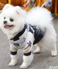 ̫�����ˣ�׼�о�����ס���Ѽ��У����Ű�����Ĺ�����������