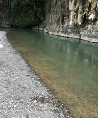 ɹ̫ĵطˣˮտ¶ӪӾ