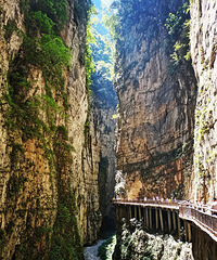 武陵山大峡谷+816的一日游