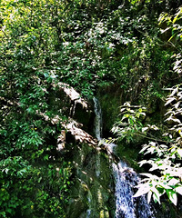 �������Ʒ�ɽ