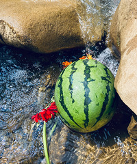 ����ȥ��2�ܵ�ˣˮ�أ�ˮ���峺���죬������С��Ϻ��̫�����