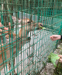 带娃去避暑,这里凉快还好耍,能住农家乐也可以露营,风景好
