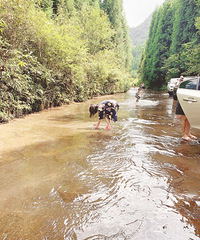 1.5小时到的凉快农家乐,干净舒服,体验田园生活太巴适了