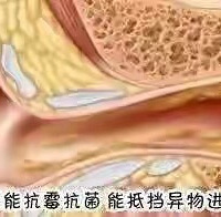 ʺܶ𣿿ʺǰͽҲ֪˶ʺ