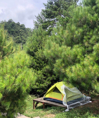 多方对比后去花坝露营,性价比高还凉快,有热水洗澡没蚊子,安逸