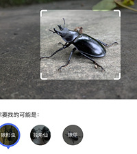 ���ں��ӵĿ�����٣�ÿ�궼���������㣬������ʶ���桢������