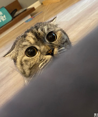 ǼҵĴè̫ˣÿƬʺֻ