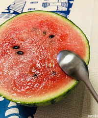 ���ǳ������������ѵ�ֻ����һ���˴Ӳ����ѣ�