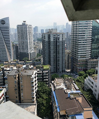 ȤȤĻ׼򣬼¼Ҷèǹƽһ