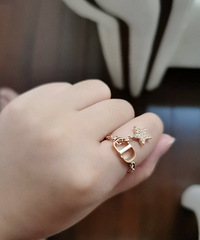 Dior ���ǽ�ָ ���Լ�����Ϧ����