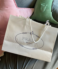 �� Prada ��Ϧ�޶�����hobo����ɫ�úÿ�