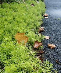 清凉游广阳,未来可期