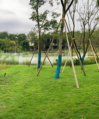 清凉游广阳,未来可期