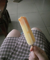 ȤȤĻ׼򣬼¼Ҷèǹƽһ