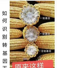 �������׵��˱ؿ���֪ʶ�������ʶ��ת��������