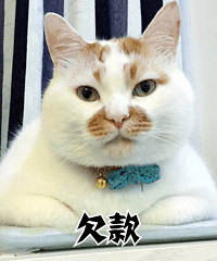 夏天祛斑易反黑?如何才能有效祛斑?来听听专家怎么说