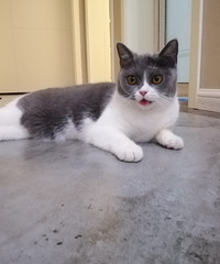 ÿè漸ȦͿʼˣΪֵ̫µģ