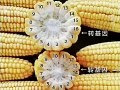一秒识别转基因玉米