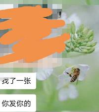 打游戏认识了个男的说让我当他女朋友,大家帮我看看是真是假?