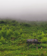 要穿长袖的免费露营地,顺道去了被论坛安利的笋子店,确实霸道