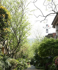 ��������ɽ300�O�������ݣ��о�����ԽװԽ����