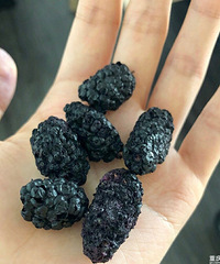 不再秃头!缓解便秘!一定要知道的好东西