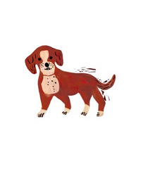 ��һ������������һλ�µ�С��ģ