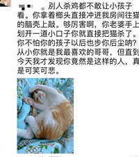 因为我的猫把我哥老婆抓了一条口,他就用榔头把我的猫给杀了