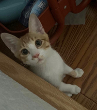 ΪҵèҸץһڣͷҵèɱ