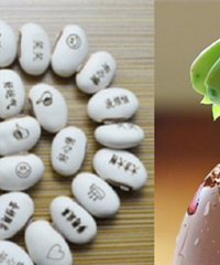 ����ɱ������ǲ��Ƕ��������ħ��