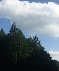 找个凉快可以搭吊床的地方露营,太舒服了