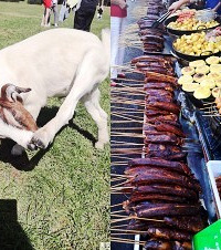 重庆周边自驾游,5大1小人均200住联排别墅,吃高山黑羊肉