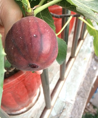 8·ݵĸ¡濾ε޻ʵ֮ǰһҪ