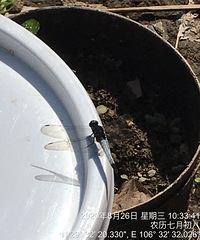 оܶ궼ûɫĶèˣ˲乴СʱĻ