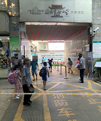 神兽开学报道,终于要回笼了,前几天都还在使劲赶作业