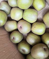 �Ȳ��������ŵĺ���⨺��ң�����ͳ���һ��