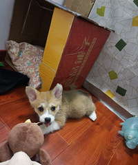 ҿ»ҼҵճǳԱ˾˯¾ͳ3