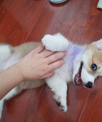 ҿ»ҼҵճǳԱ˾˯¾ͳ3