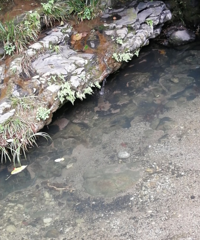 1СʱˣˮõطɾСϺзũ80һ