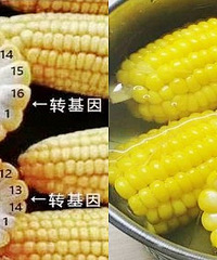 ʲôǰԵĶתȣһнѧֱ