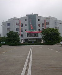 ˵ҴӴСתȥС985ҵͬСһڳ