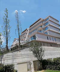 277O˫ƴװ17Ӣﲻò˵Ĺ