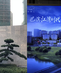 三十而立想买房,巴滨路看了一曲晴江,位置不错,双轨道配套