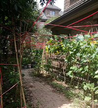 好不容易买个品质小区,遇到邻居乱搭建,未必只有龙湖物管才靠谱